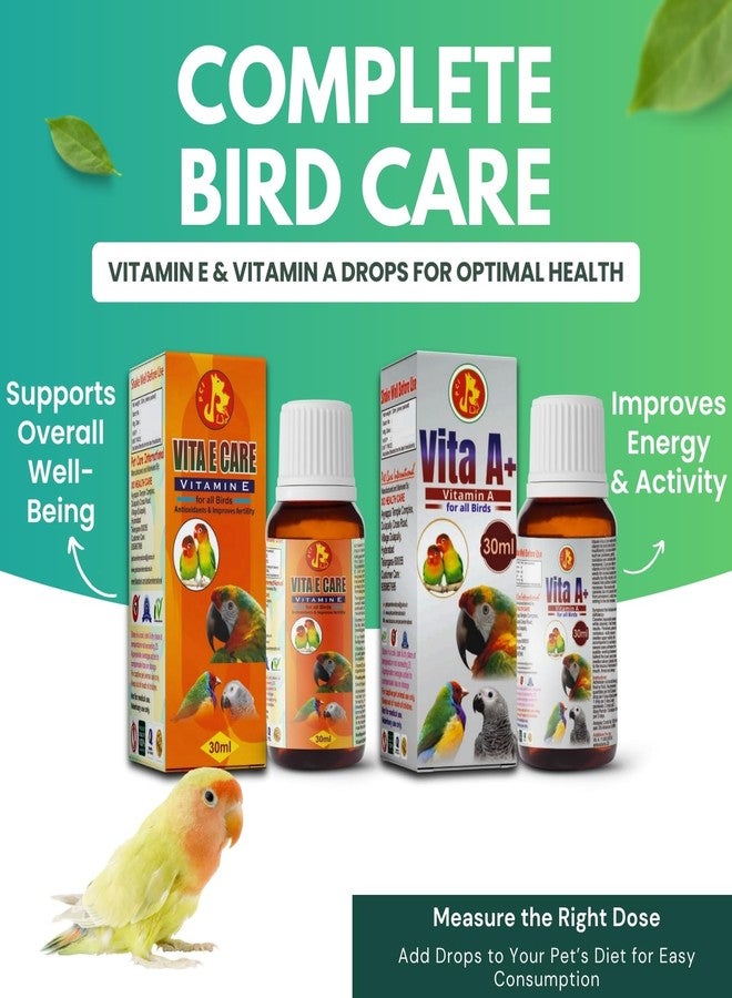 سايج سكوير مجموعة سيج سكوير بيت كير إنترناشونال فيتا إي كير وفيتا+ للطيور - فيتامين هـ الأساسي والتغذية اليومية، يعزز المناعة، نمو الريش، كفاءة التكاثر، تخفيف التوتر (30 مل) - Image 5